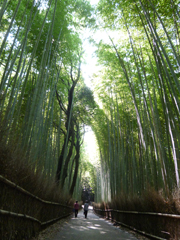 嵯峨野と嵐山周辺