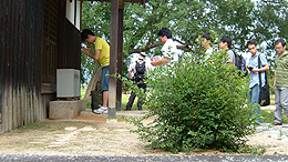 鯉喰神社を参拝